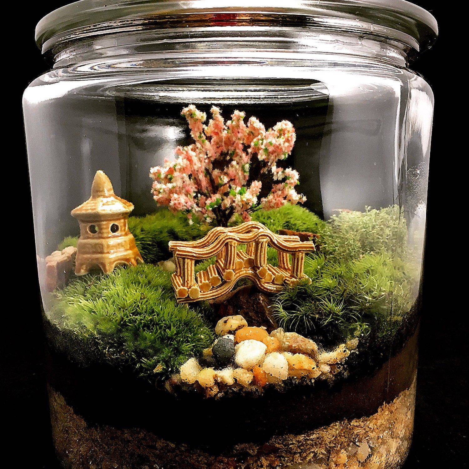 Miniature Moss Garden