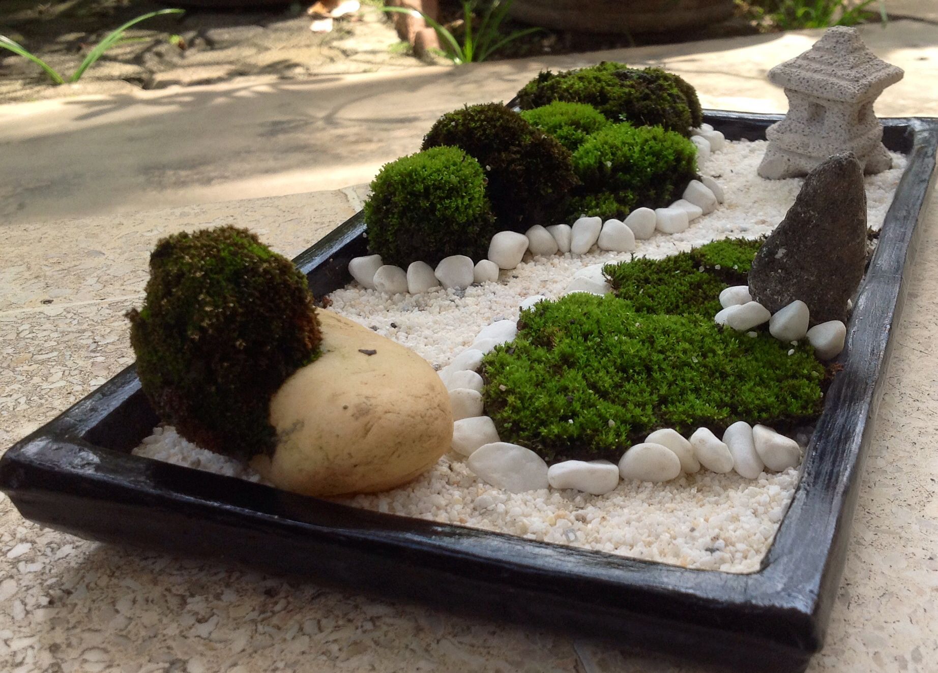 Zen Garden Miniature Zen Garden