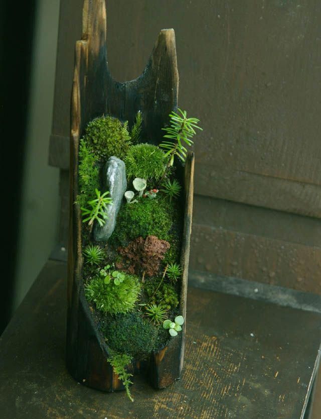 Zen Garden Miniature Zen Garden