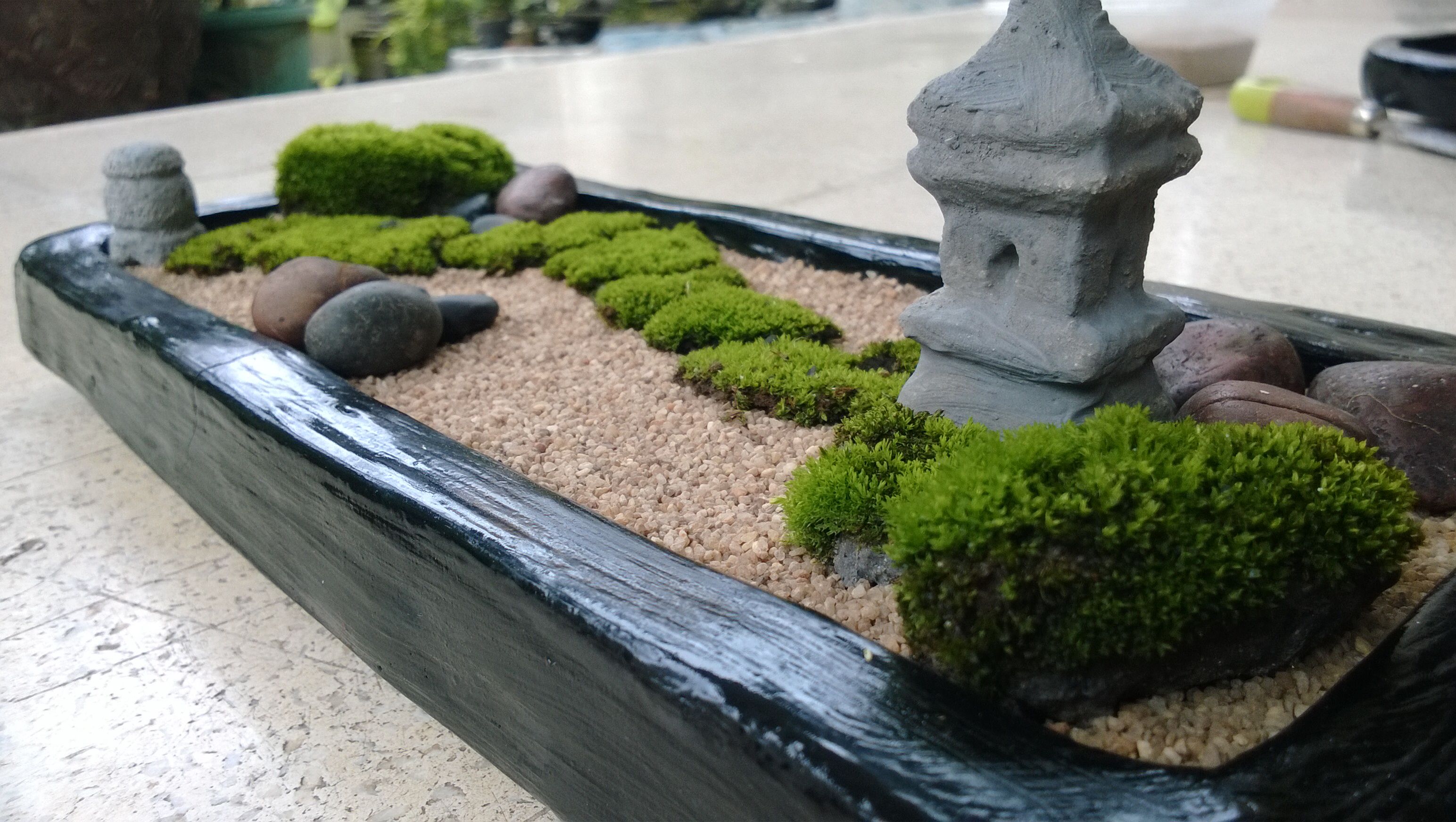 Nano Mini Zen Fairy Moss Garden