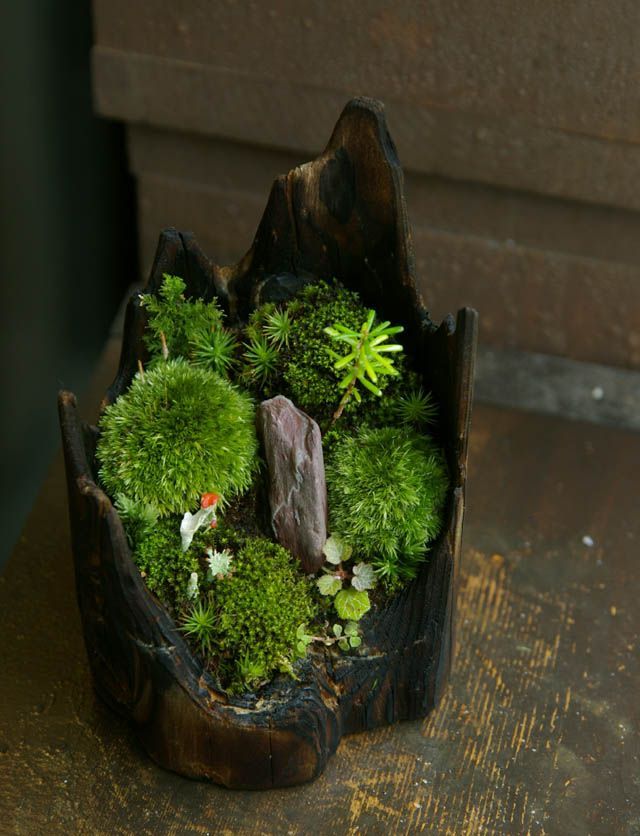 Mini Zen Garden Miniature Zen Garden