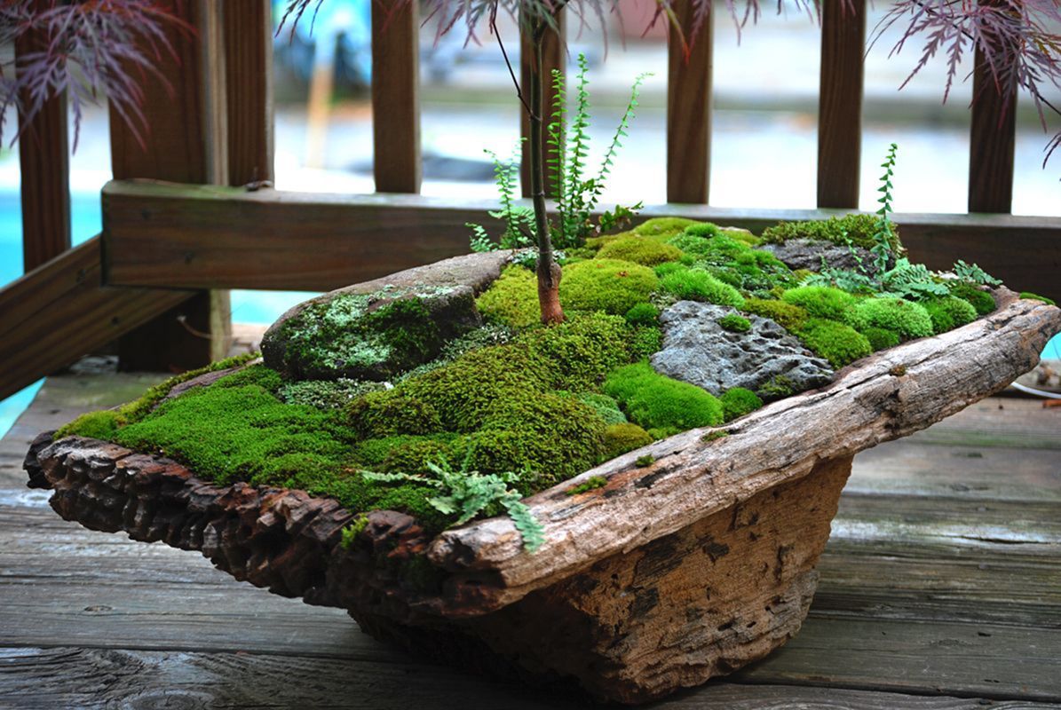 Simulation Moss Stone Moss Garden