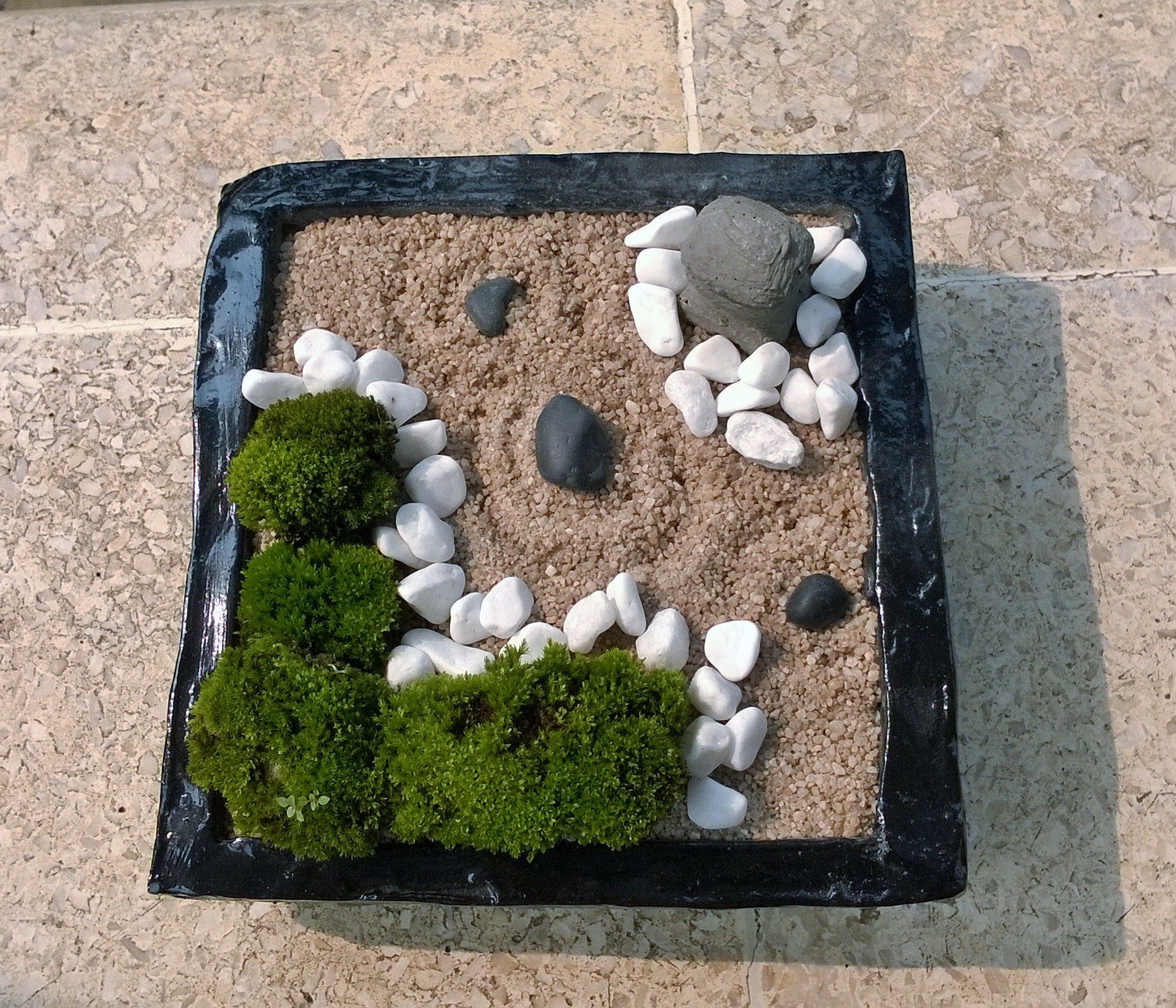 Zen Garden Moss Google Search