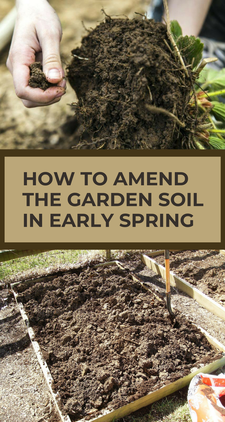 Garden Soil Preparation
