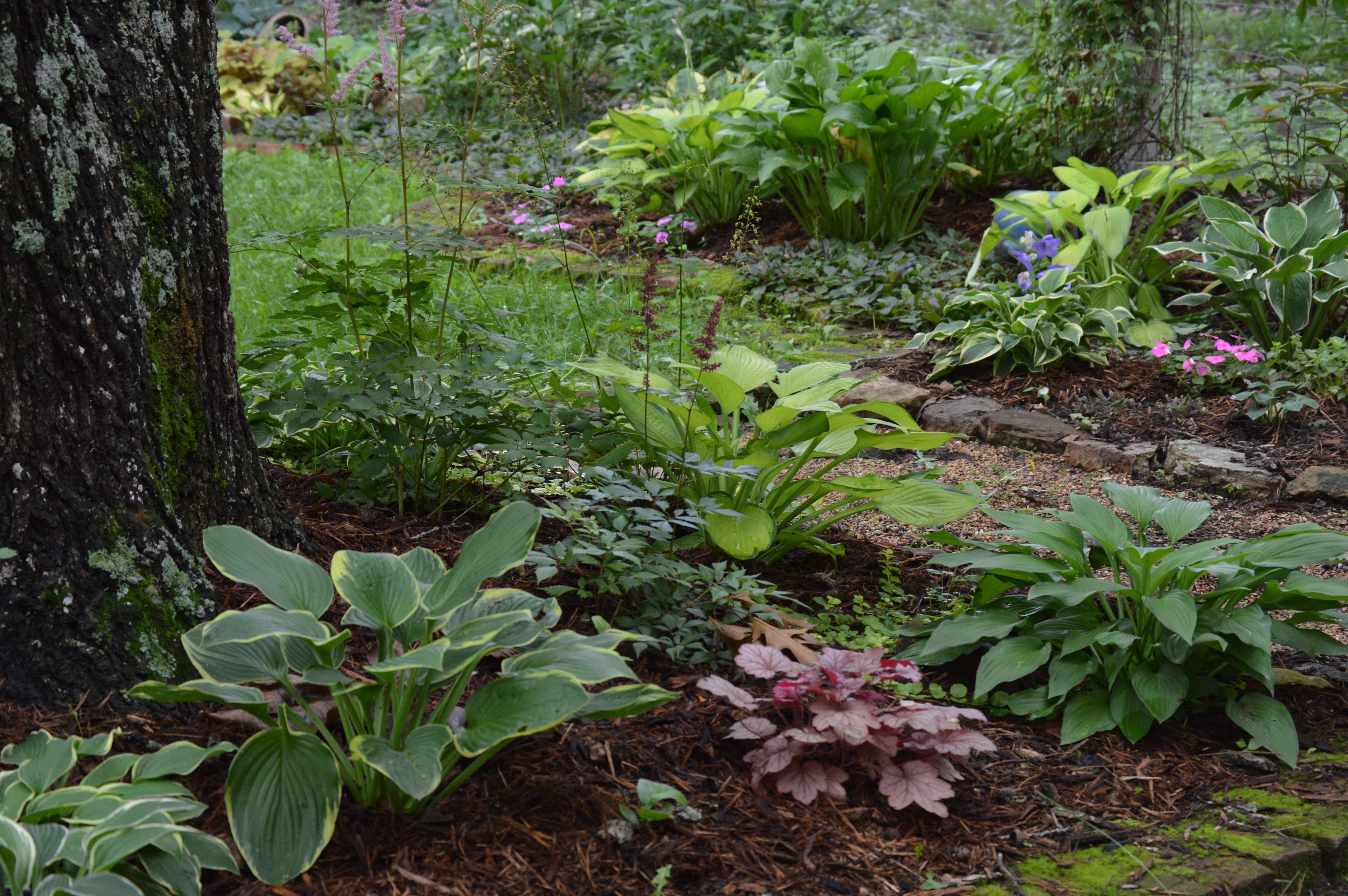 Soil Prepping A Rock Garden Bed