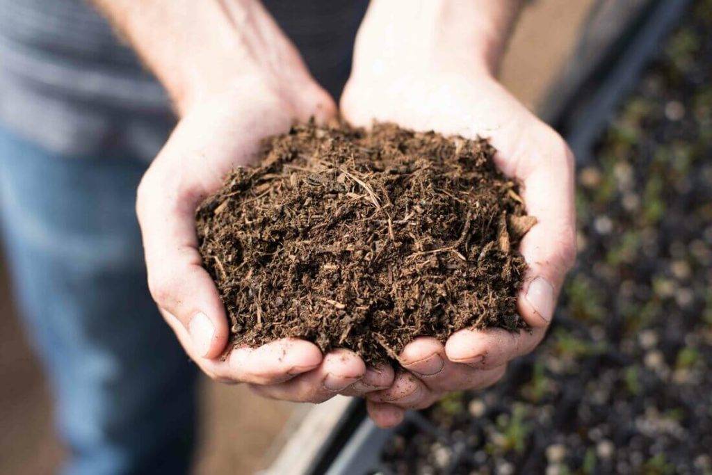 Gardening Parenting Patch