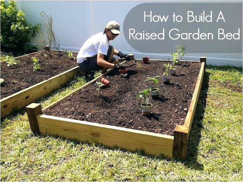 Healthy Garden Soil Backyard Eden