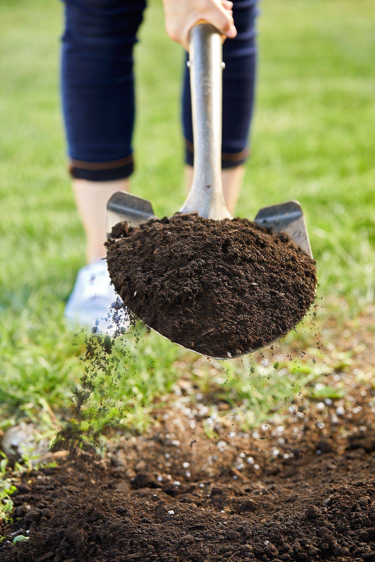 Gardening Tips
