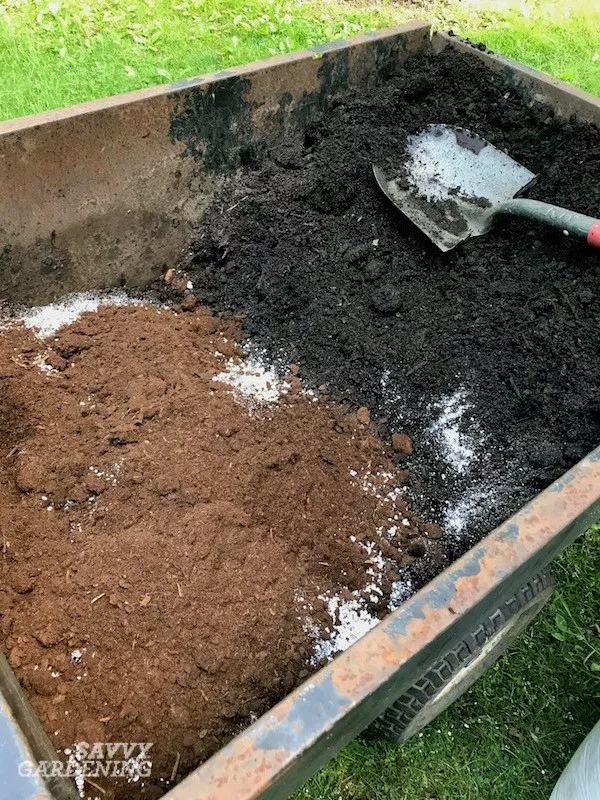 The Beginners Garden