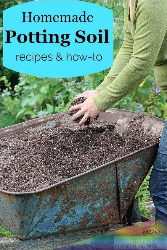 Backyard Vegetable Gardens