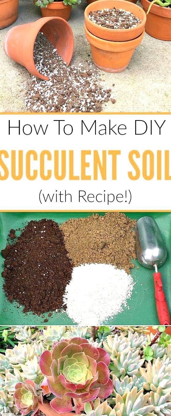 Good Housekeeping Hearst Potting Soil