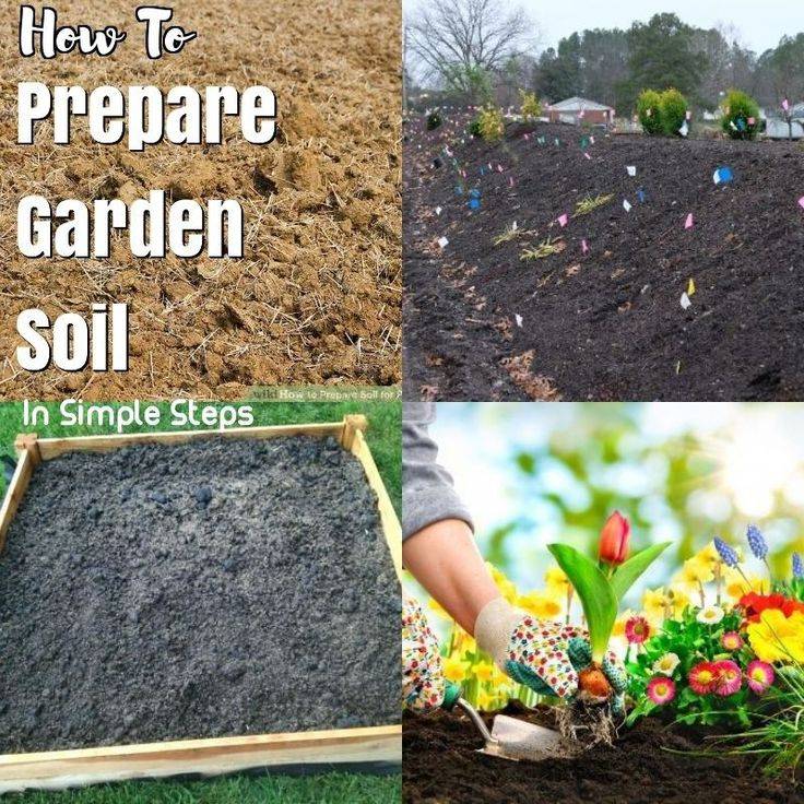 Homemade Allpurpose Potting Soil Mix Recipe
