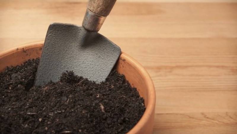 Diy Potting Soil Plant Instructions