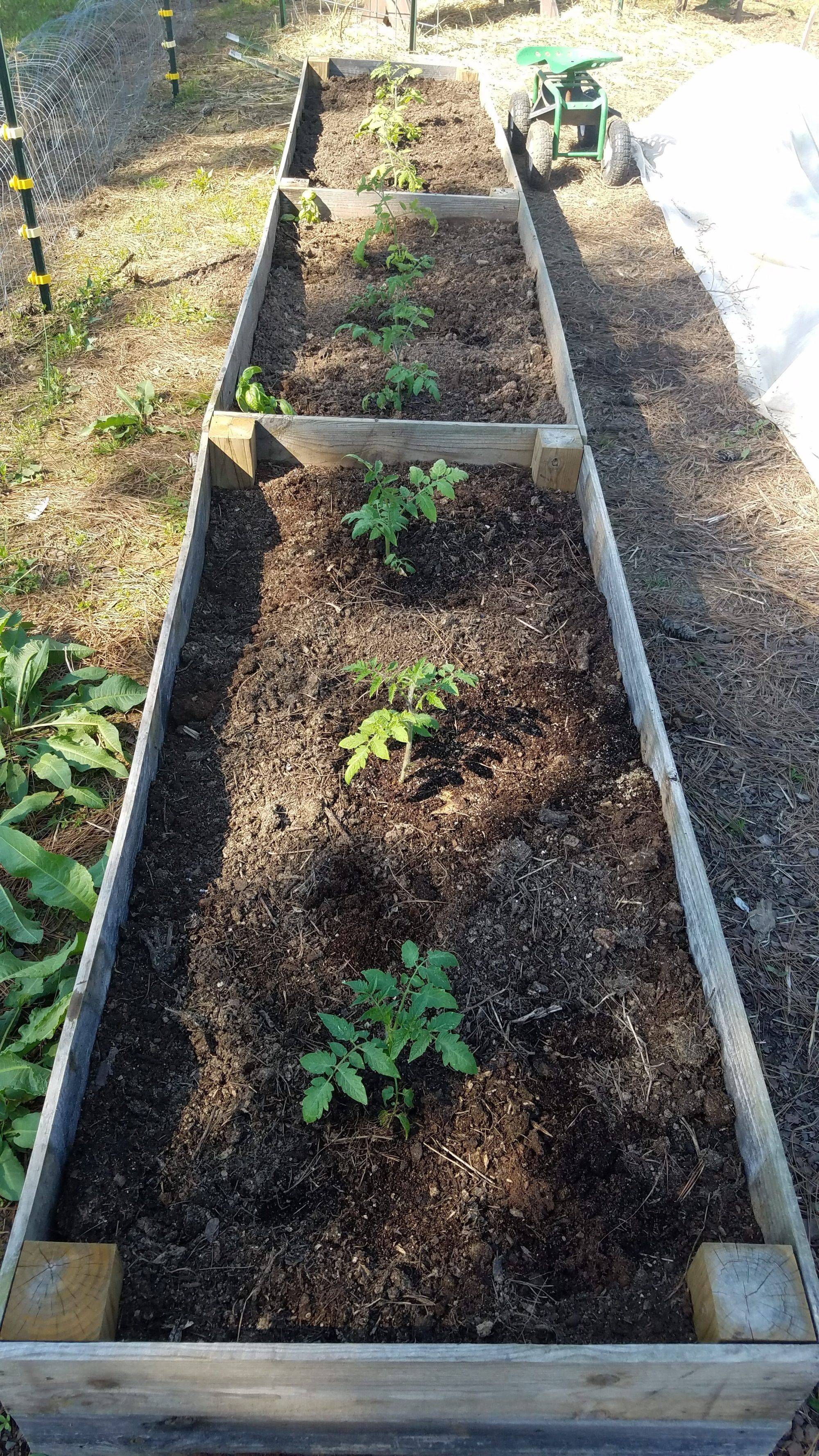 Garden Soil Mix