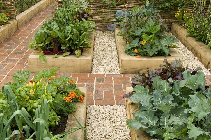 Raised Bed Garden Design Ideas