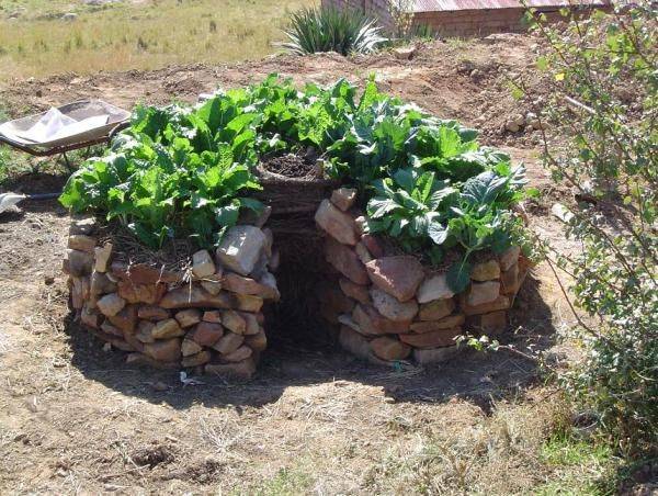 Gardening Tips Pt I