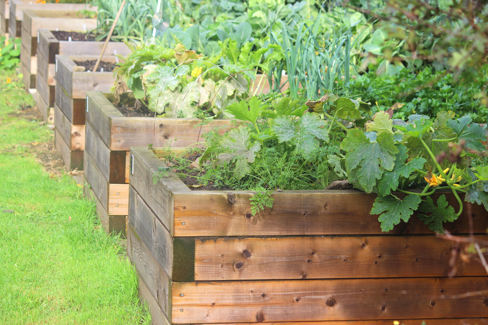 Keyhole Garden Design
