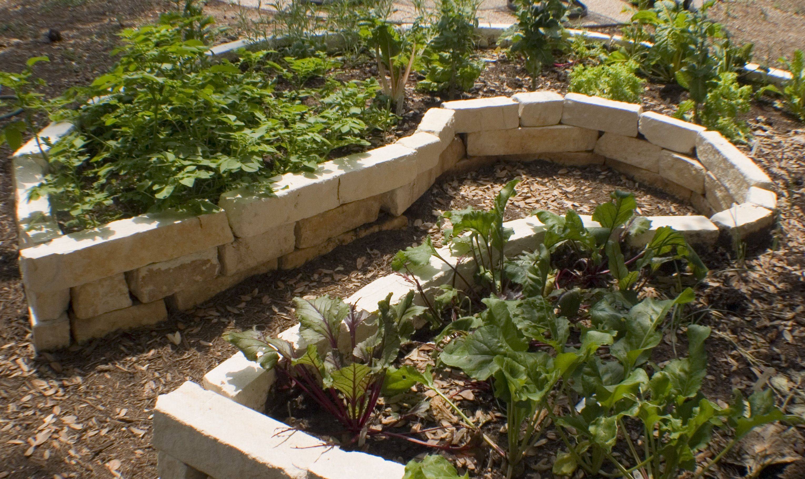 Keyhole Garden Design