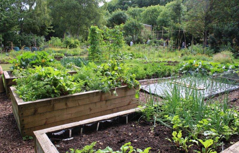 Your Own Diy Raised Garden Bed