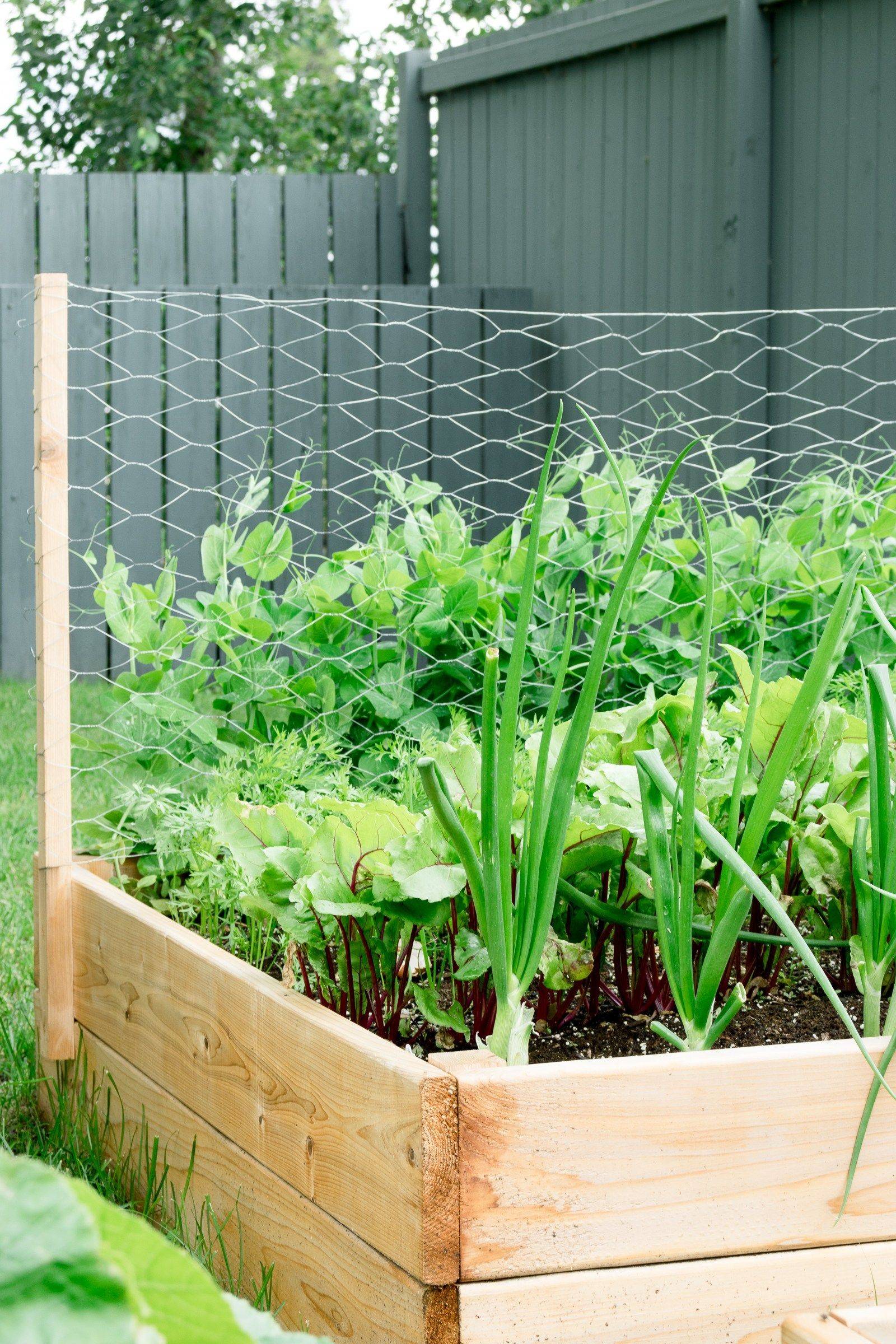 Your Own Hexagonal Garden Beds Diy Garden Projects