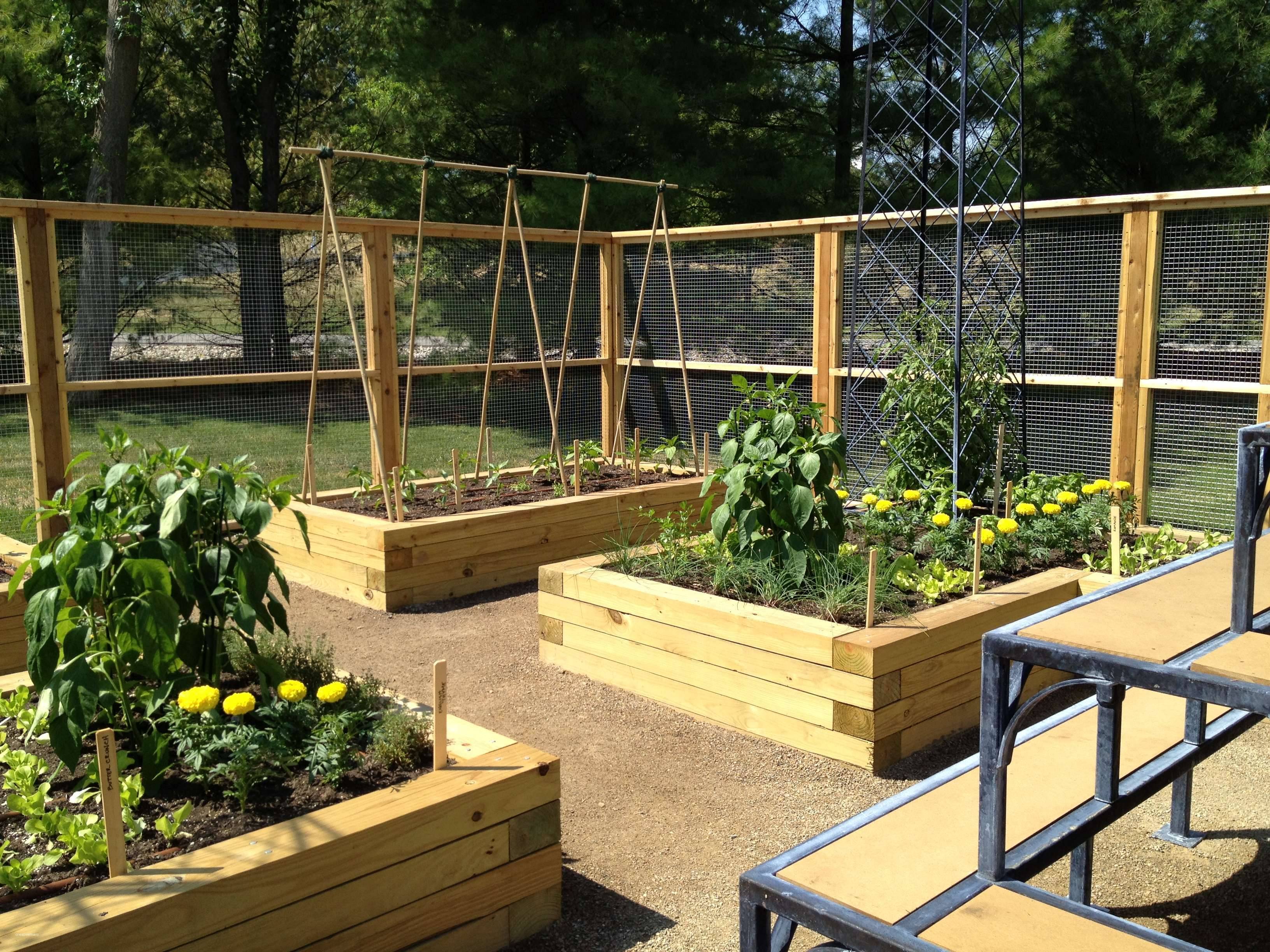 Fabulous Garden Beds
