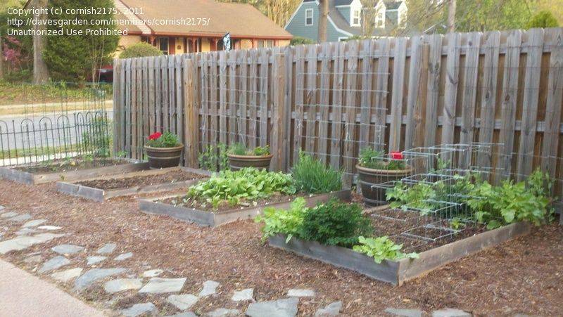 Build Raised Garden Bed