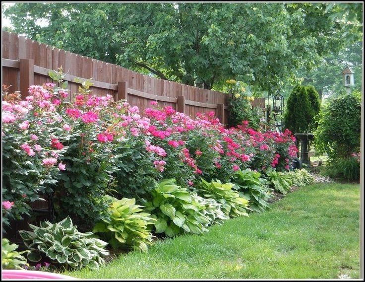 A Raised Garden