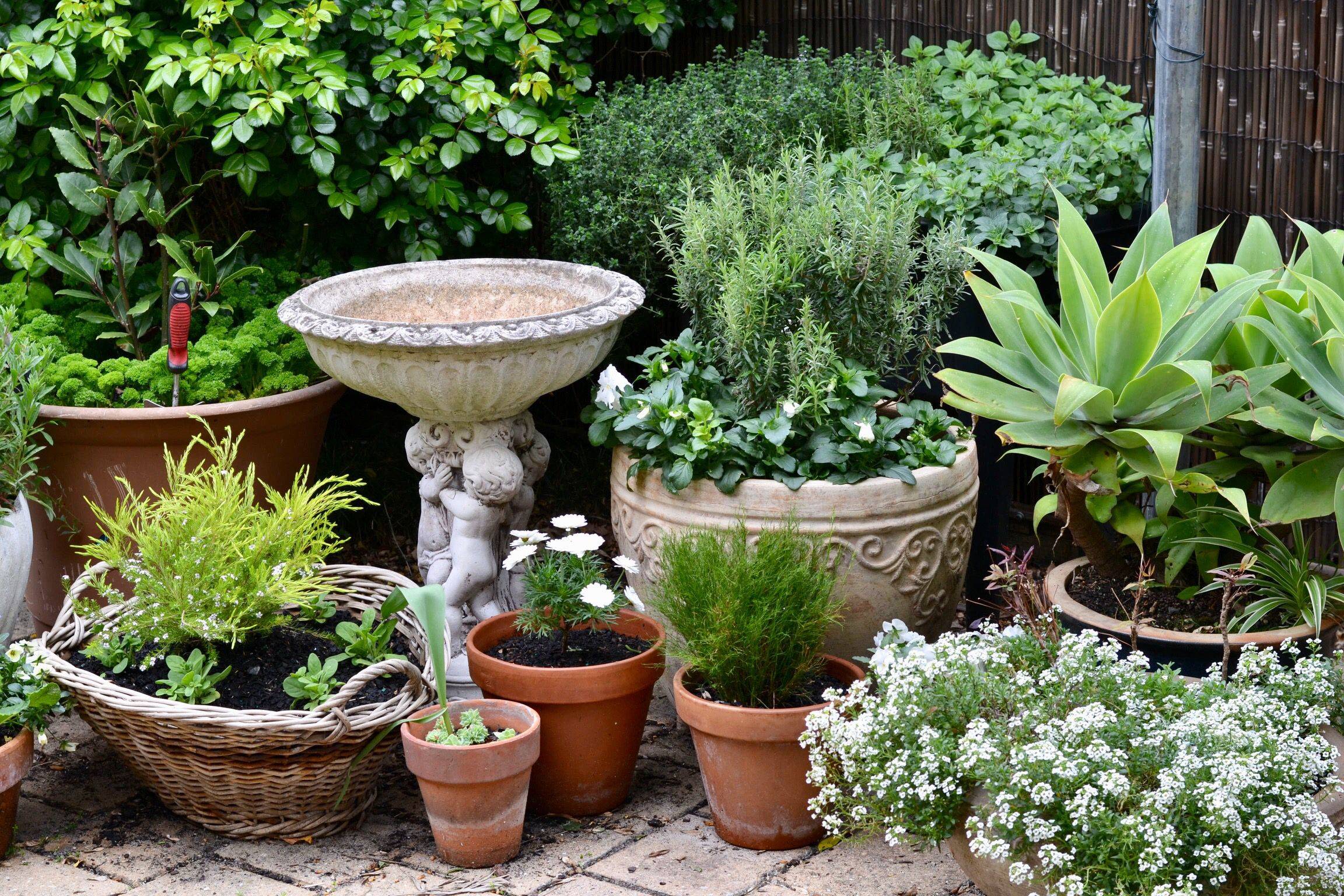 The Front Courtyard