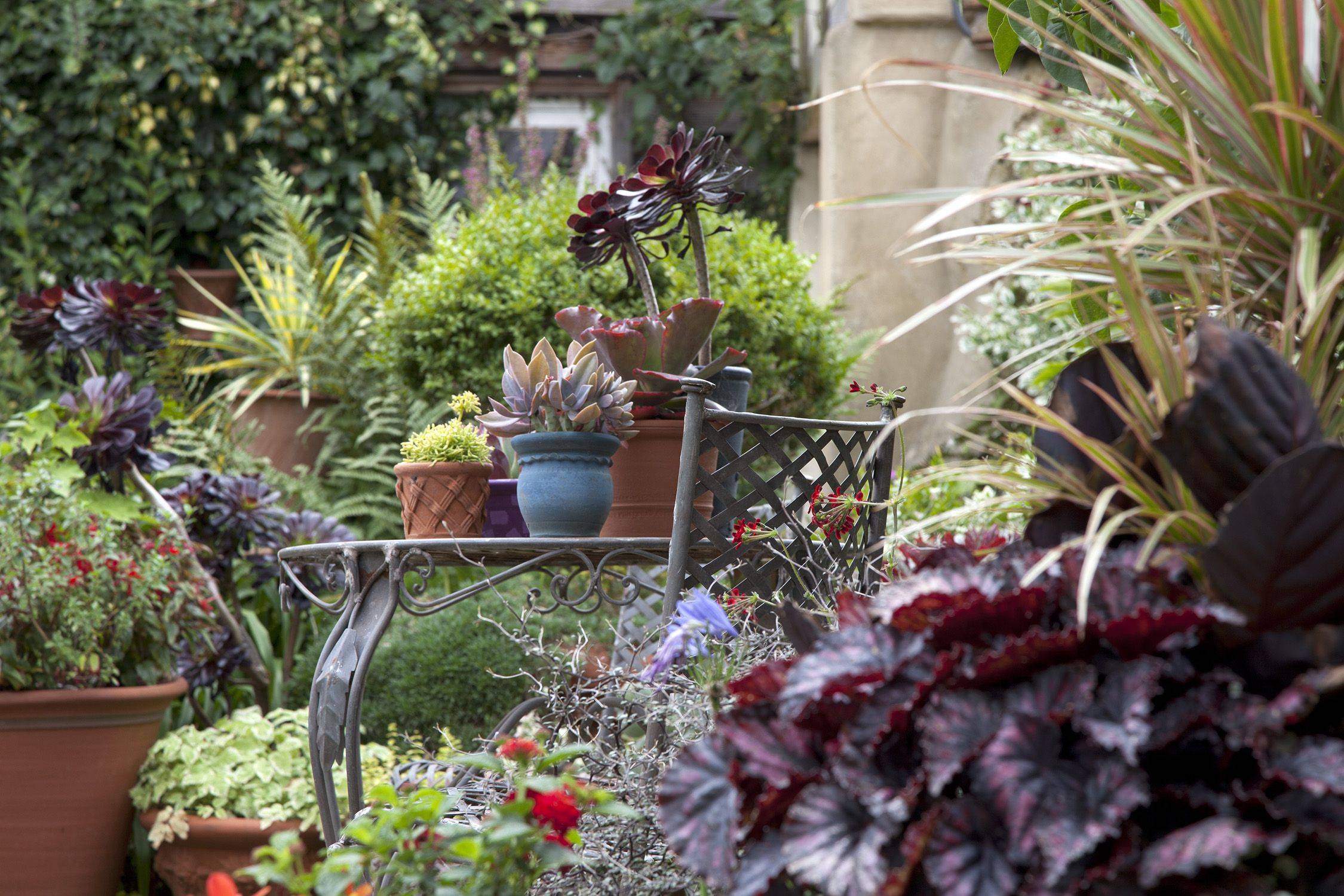 Fabulous Courtyard Garden