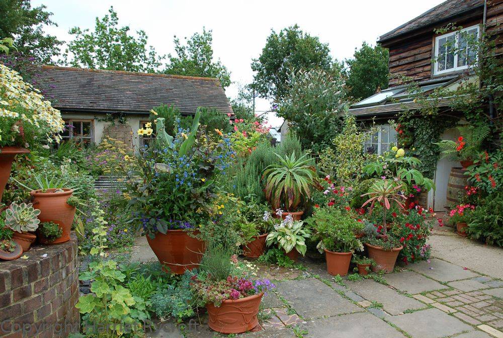 Side Yard Container Garden