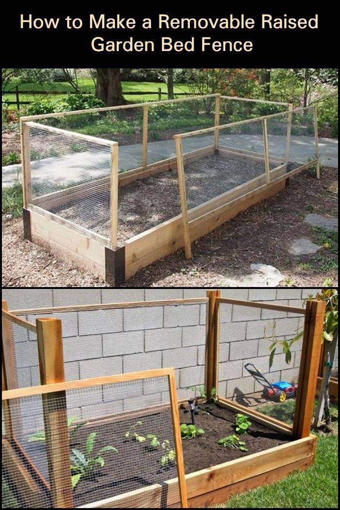 Vegetable Garden Box Ideas