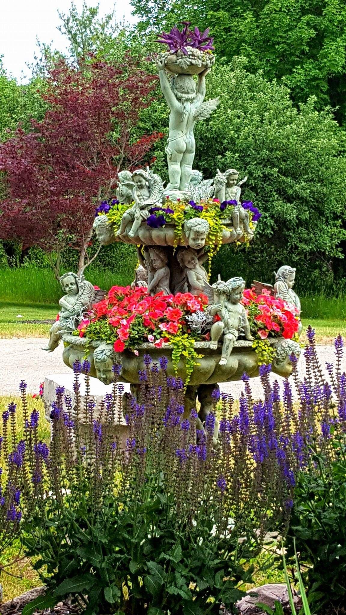 Flower Garden Backgrounds Wallpaper Cave
