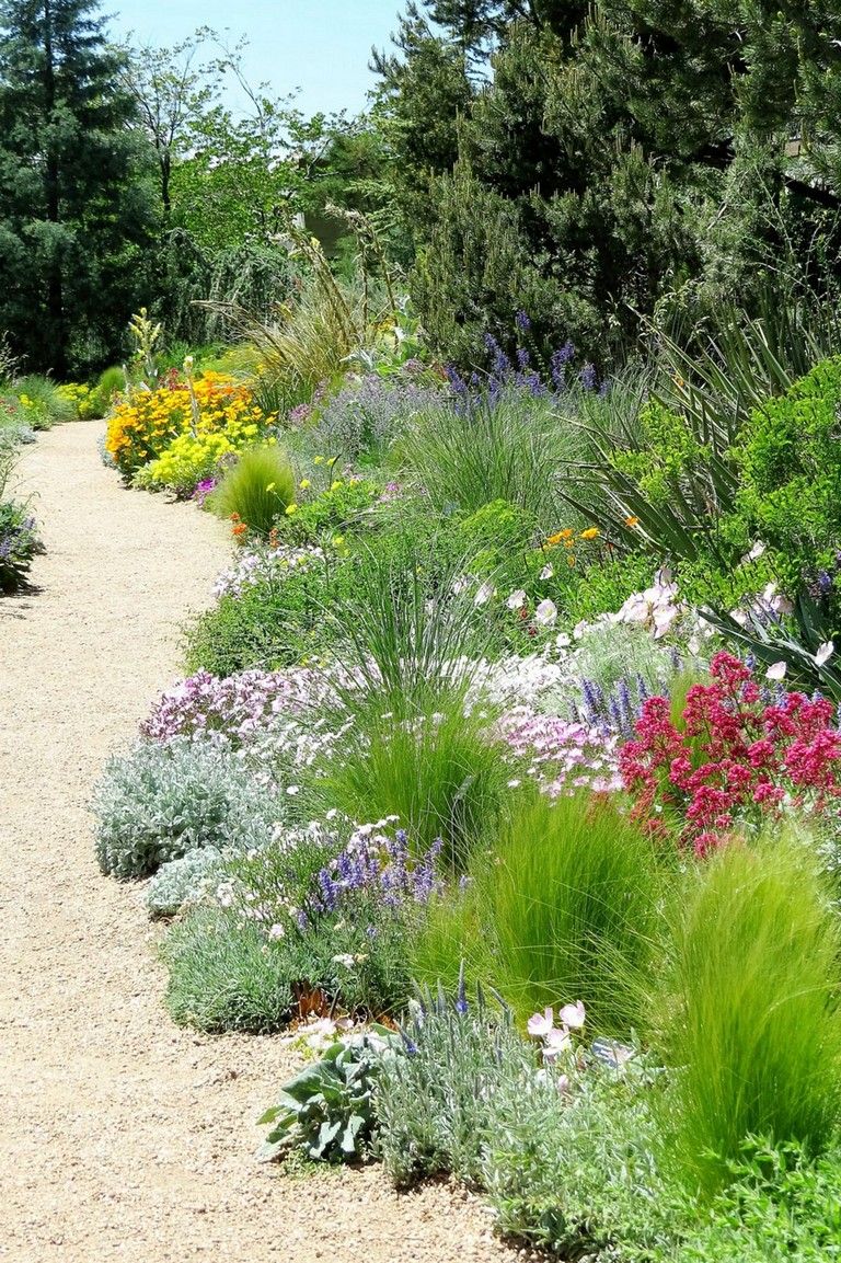 Peaceful Summer Garden Pictures