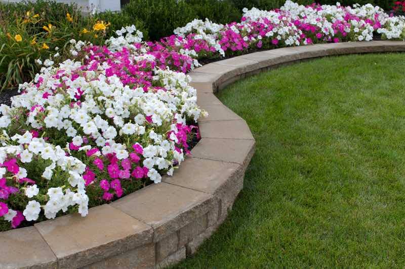Most Beautiful Patio Flower Ideas You Will Love Craft Home
