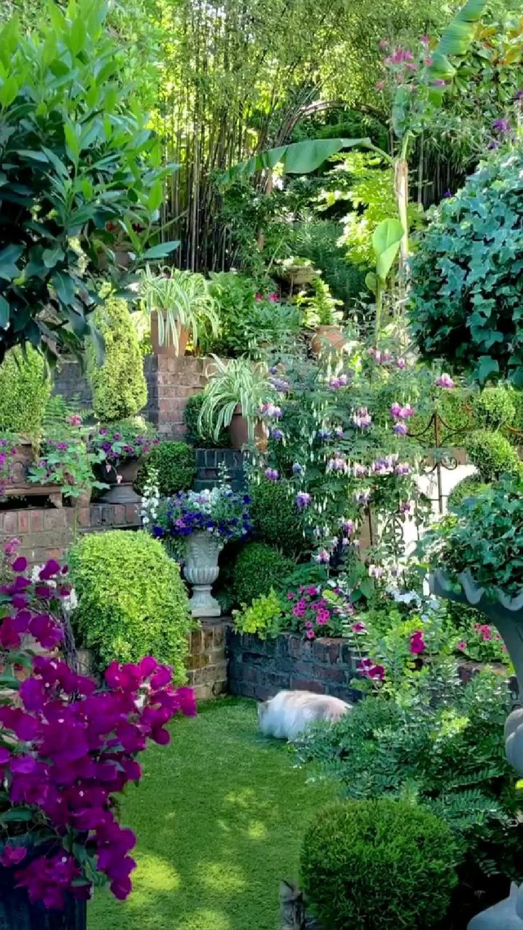 Garden Design