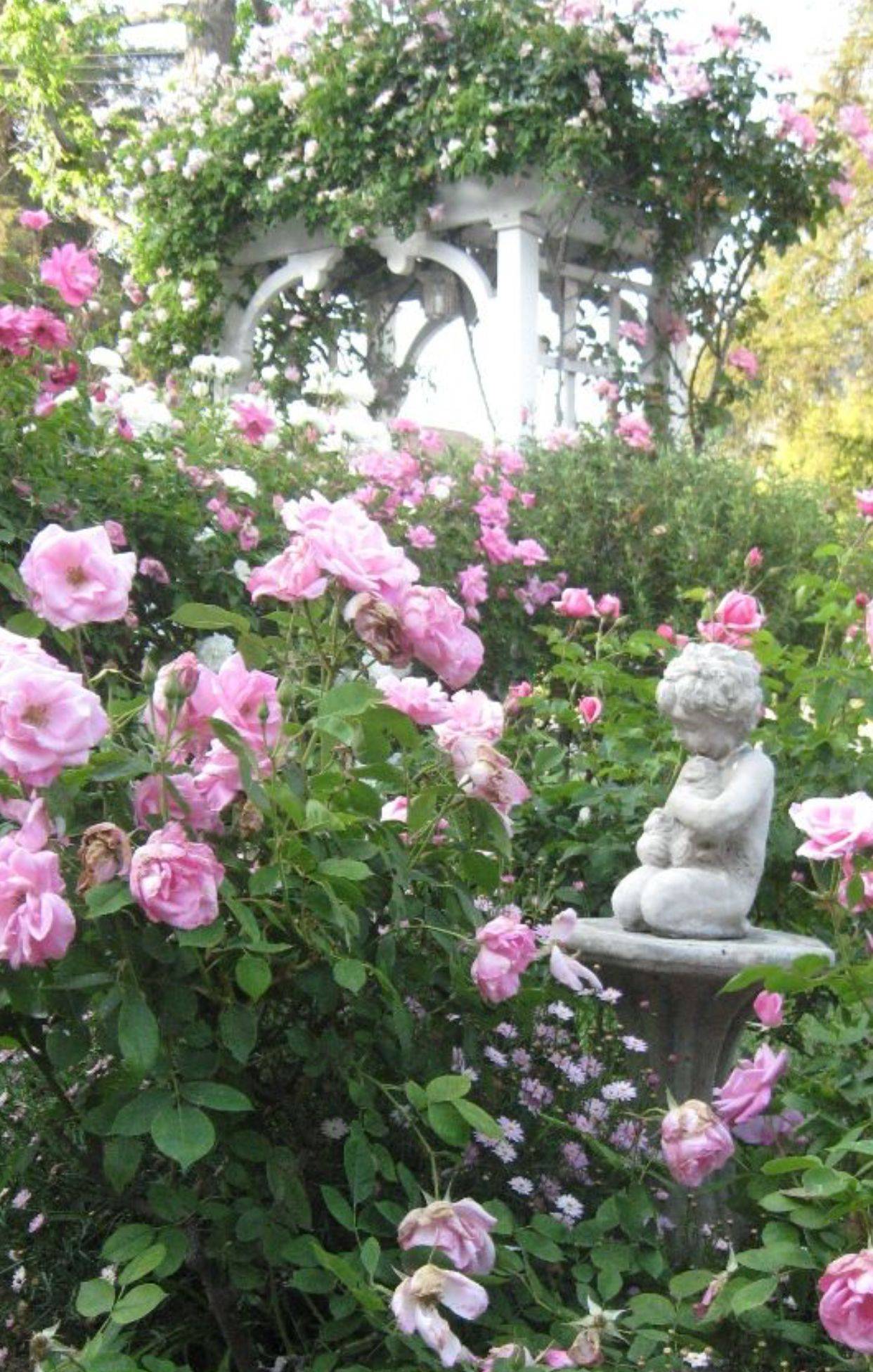 The Most Beautiful Pink Flowers