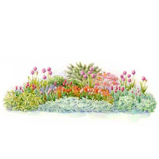 Fragrant Spring Bulb Garden Plan