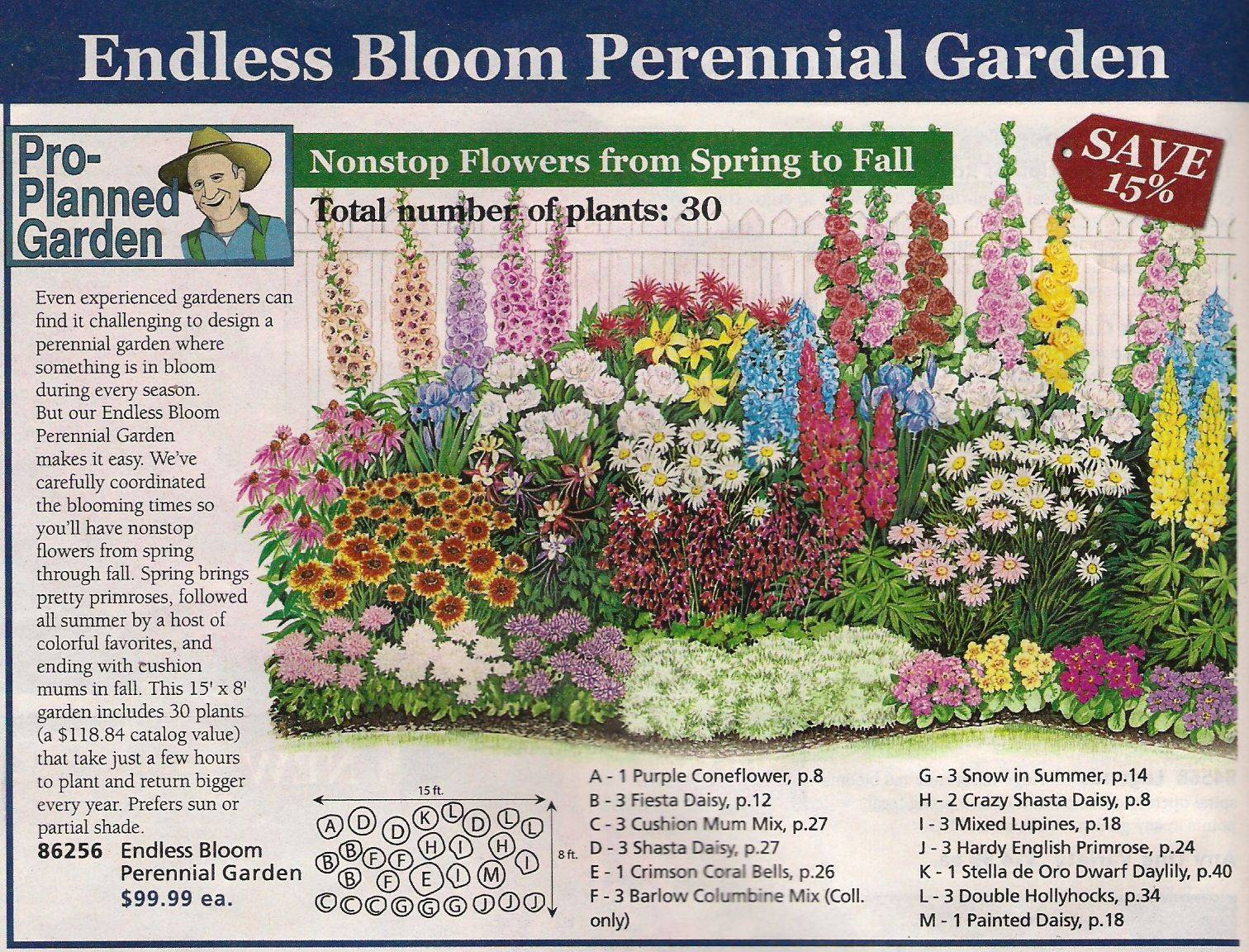A Butterfly Garden