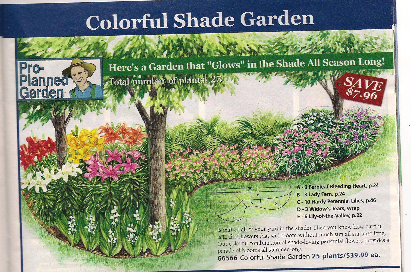 Perennial Bed Plan