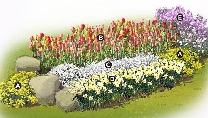 Perennial Garden