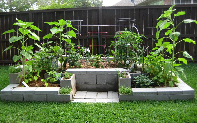 Amazing Cinder Block Raised Garden Beds