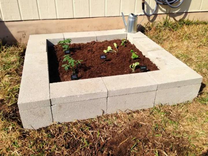 This Weekends Project