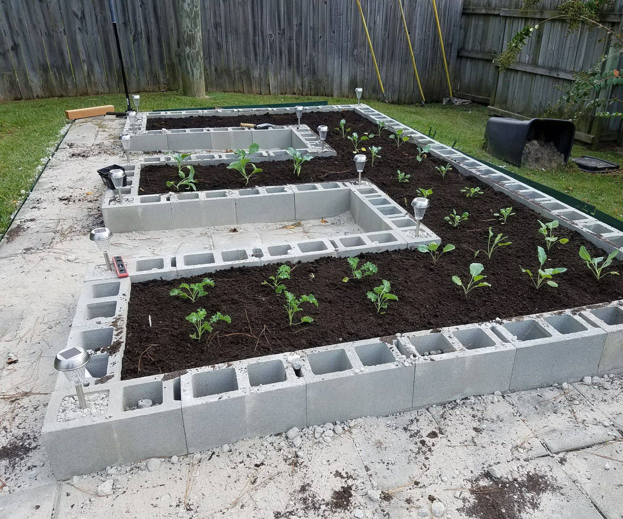 Cinder Block Raised Garden Bed