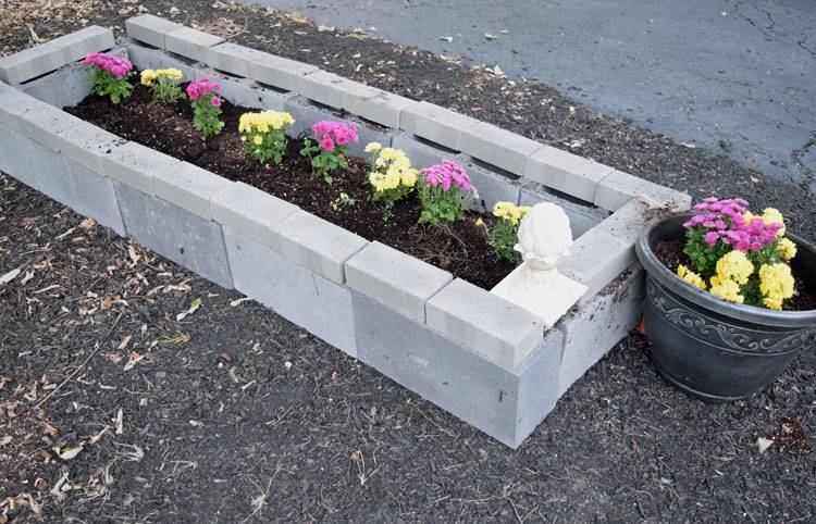 A Cinder Block Raised Bed Garden