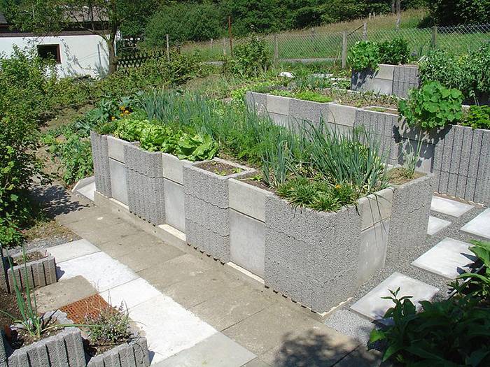 Best Cinder Block Garden Ideas