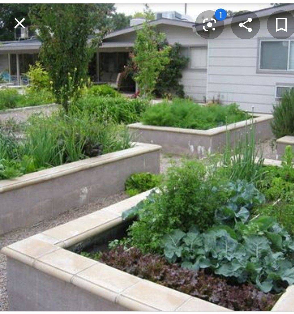 Cinder Block Raised Garden Bed