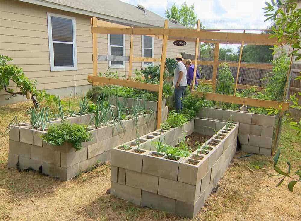 Vegetable Garden Bed