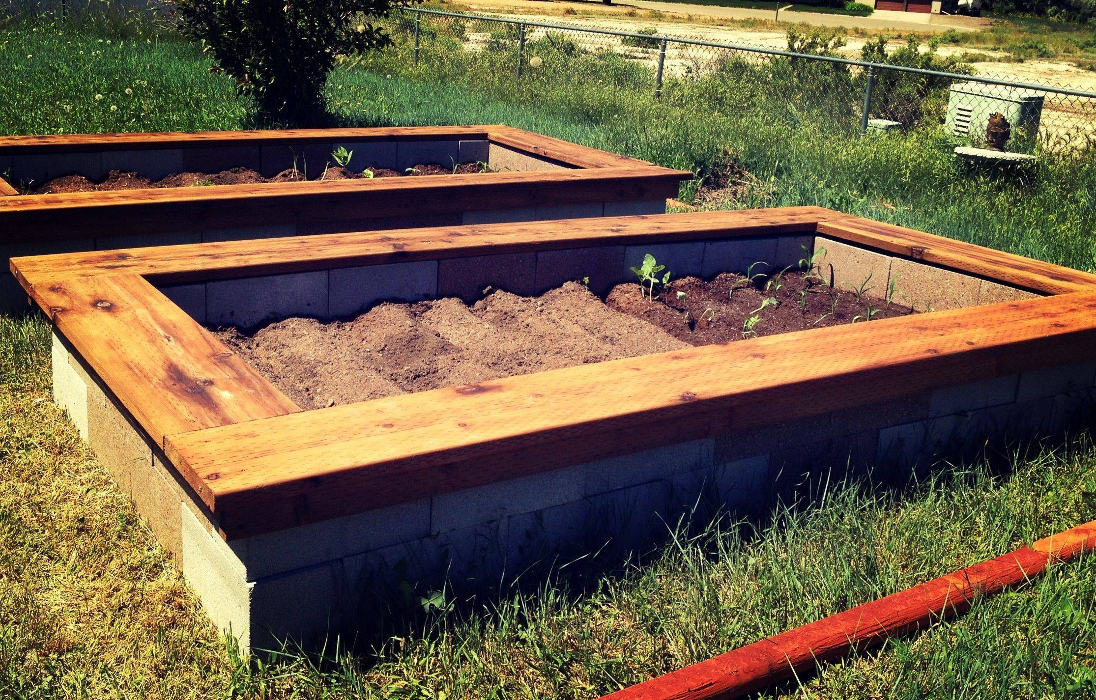 A Cinder Block Raised Garden Bed