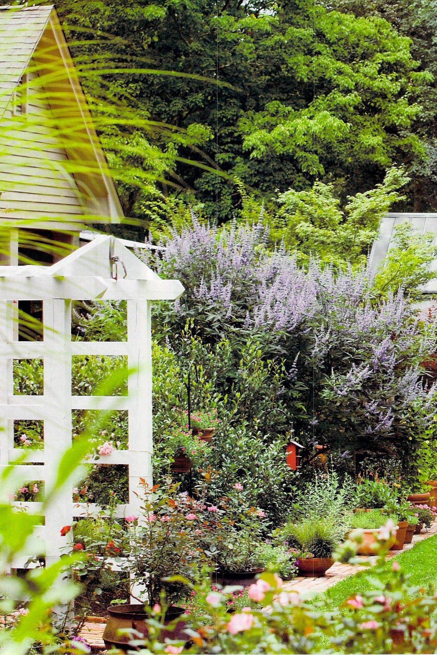 21 Butterfly Garden Layout Ideas To Consider SharonSable