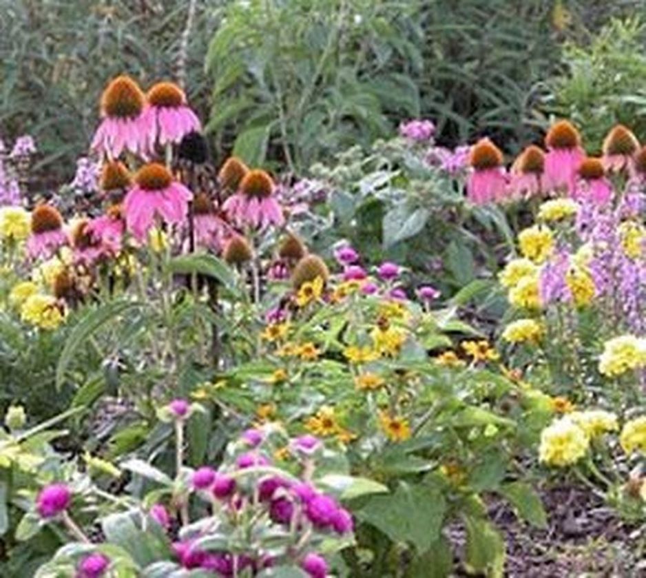 Groves Commercial Area Butterfly Garden